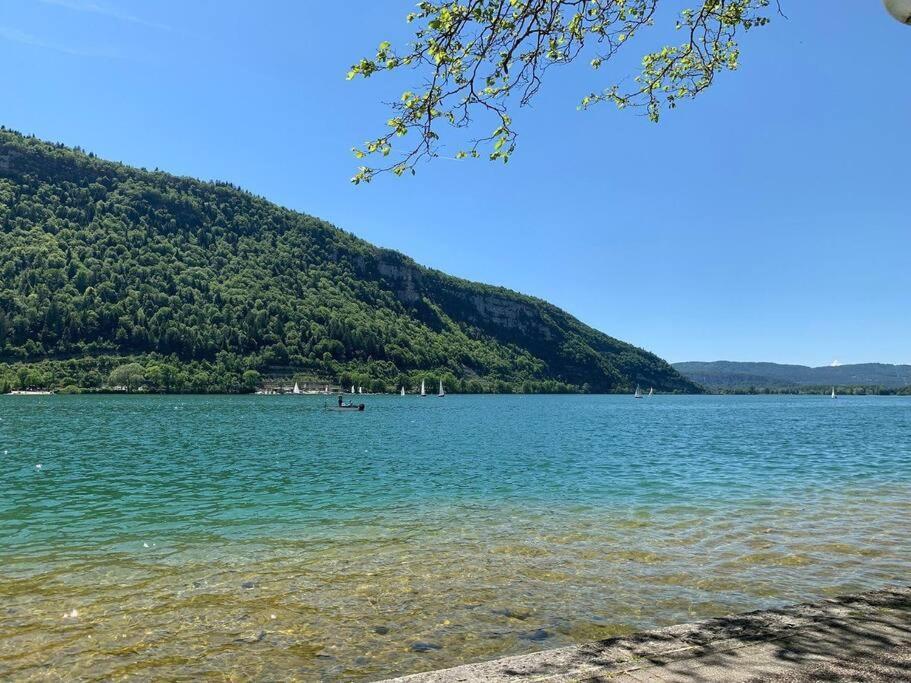 Joli Appartement En Face De Lac Nantua Exterior foto